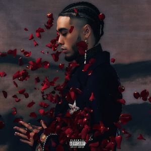 舞香阿姨演的电影大全
